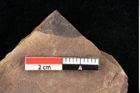 Foto (Detailsansicht) von Quercus palaeoilex Ettingshausen (NHMW-GEO-2024-0188-0848)